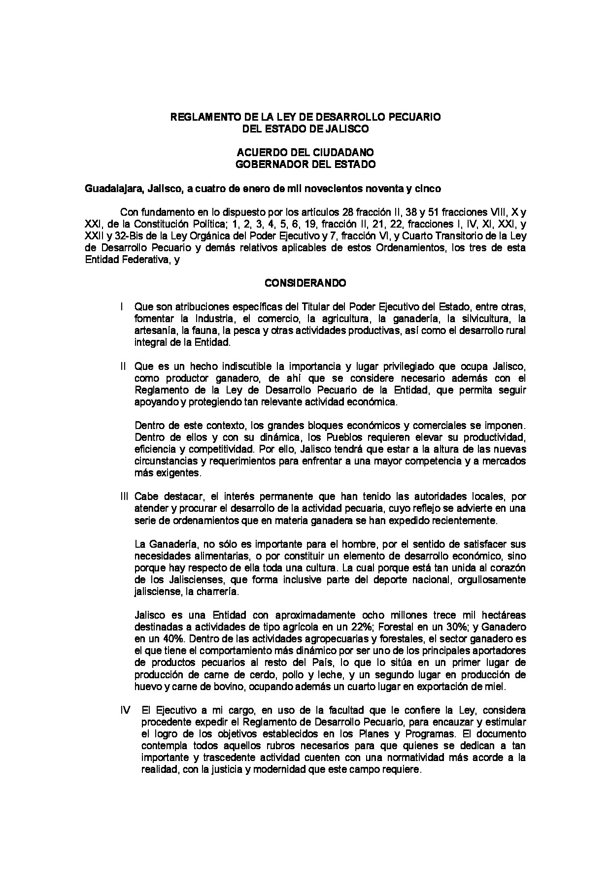 Preview archivo adjunto